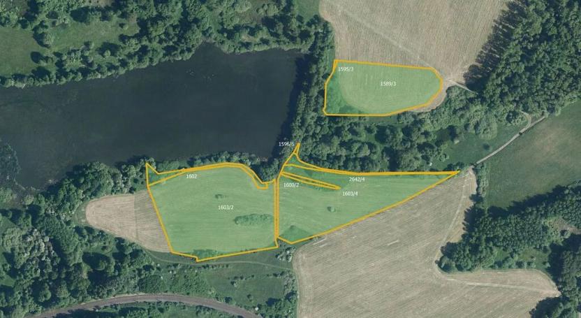 Prodej louky, Ostrov, 55877 m2