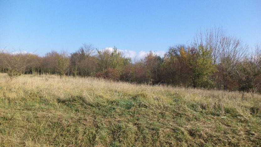 Prodej zahrady, Otrokovice, 503 m2