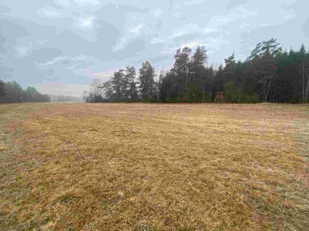 Prodej pole, Hospříz - Hrutkov, 7435 m2