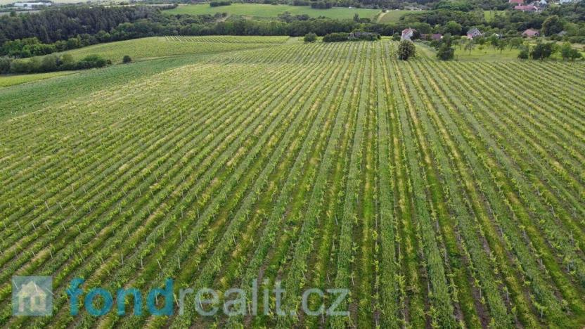 Prodej pozemku, Újezdec, 7374 m2