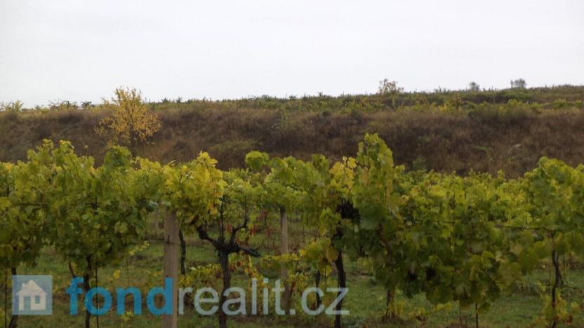 Prodej pozemku, Morkůvky, 4541 m2