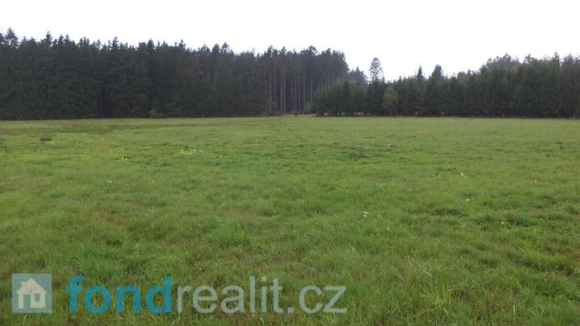 Prodej pozemku, Nová Bystřice, 10628 m2