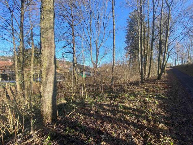 Prodej pozemku, Nová Bystřice, 3407 m2