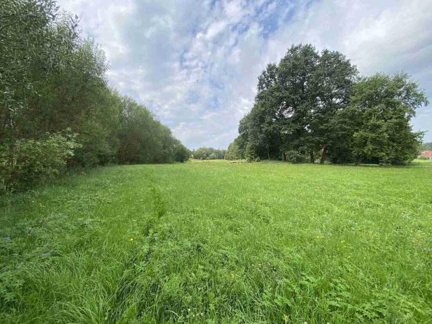 Prodej pozemku, Písečné - Slavětín, 4669 m2