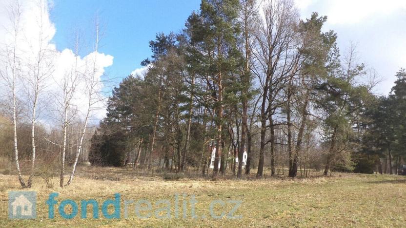 Prodej pozemku, Lužnice, 3184 m2