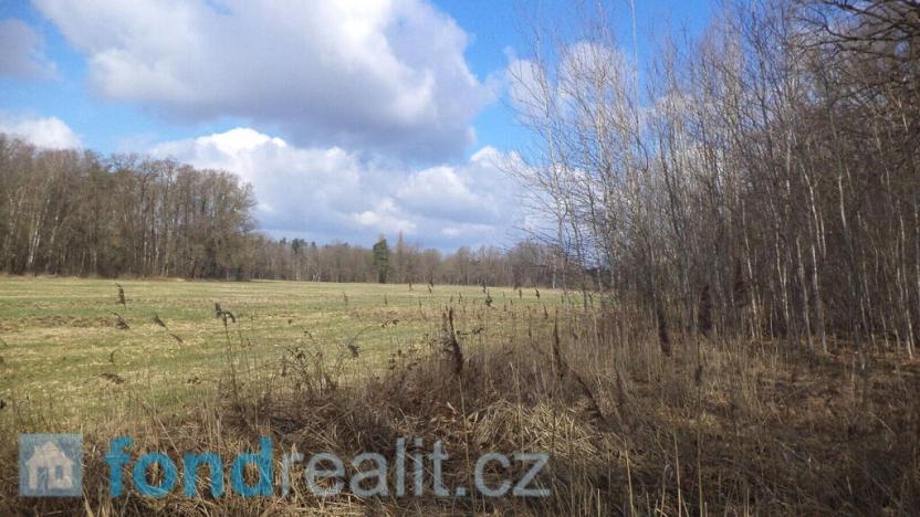 Prodej pozemku, Lužnice, 3184 m2