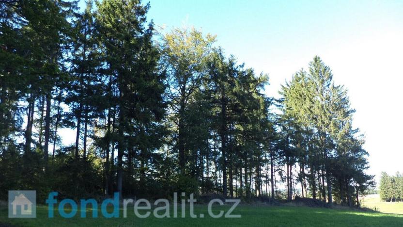 Prodej pozemku, Studená, 4992 m2