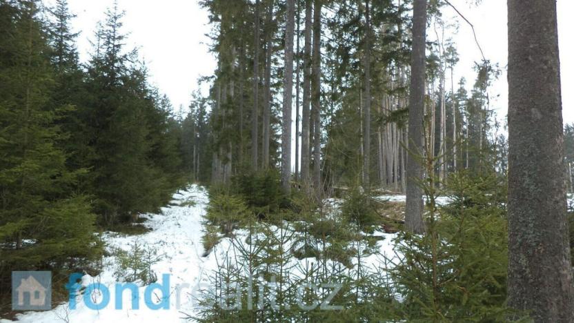 Prodej pozemku, Nová Bystřice - Blato, 19660 m2