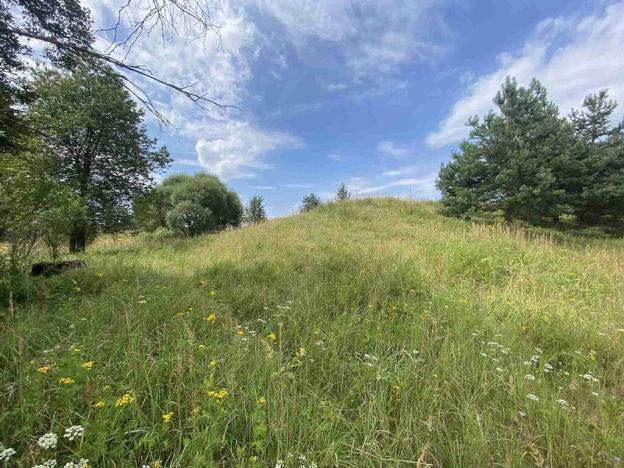 Prodej pozemku, Rapšach - Nová Ves u Klikova, 6986 m2