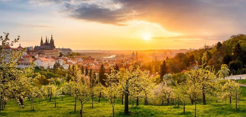 Prodej bytu 1+1, Praha - Smíchov, Holečkova, 36 m2