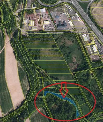 Prodej podílu lesa, Staříč, 16254 m2