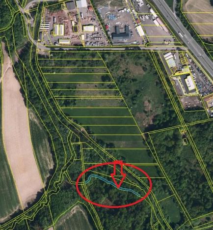 Prodej podílu lesa, Staříč, 16254 m2