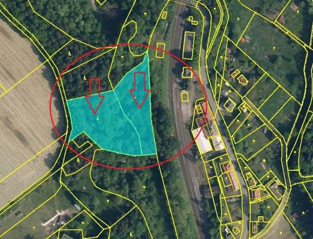 Prodej lesa, Radimovice, 7734 m2