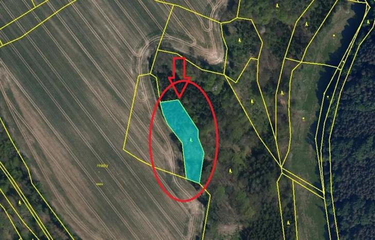 Prodej lesa, Horní Bukovina, 2690 m2