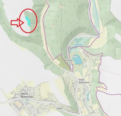 Prodej lesa, Horní Bukovina, 2690 m2