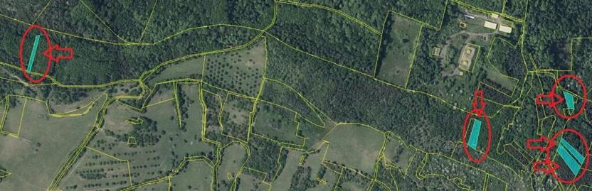 Prodej lesa, Želenice, 6238 m2