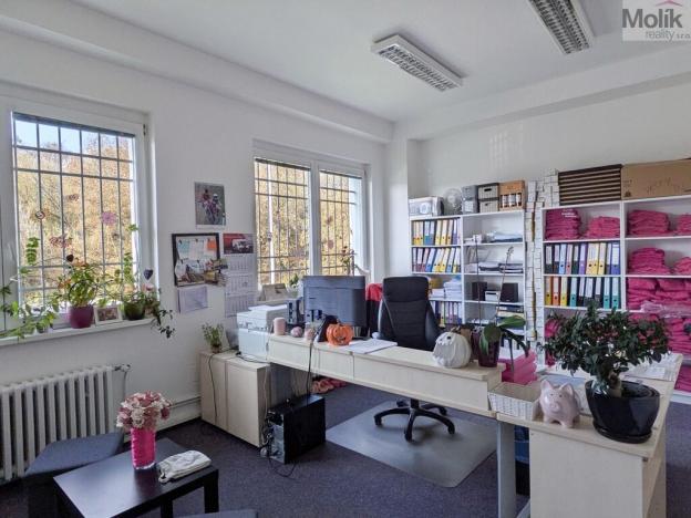 Pronájem kanceláře, Teplice, Novosedlická, 36 m2