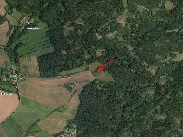 Prodej lesa, Kozárovice, 40085 m2