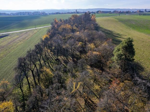 Prodej pozemku pro bydlení, Budětsko, 13897 m2