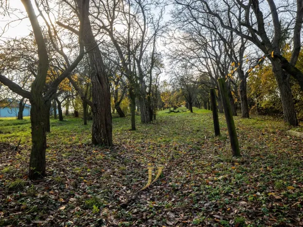 Prodej pozemku pro bydlení, Budětsko, 13897 m2
