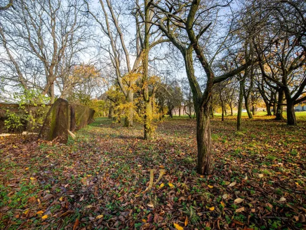 Prodej pozemku pro bydlení, Budětsko, 13897 m2