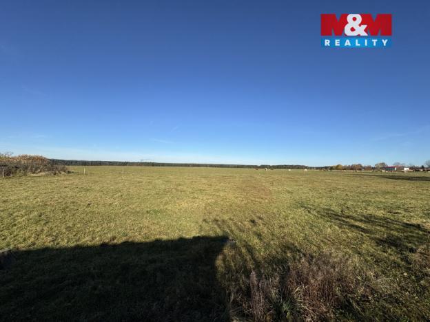 Prodej pozemku pro bydlení, Mladošovice, 1168 m2