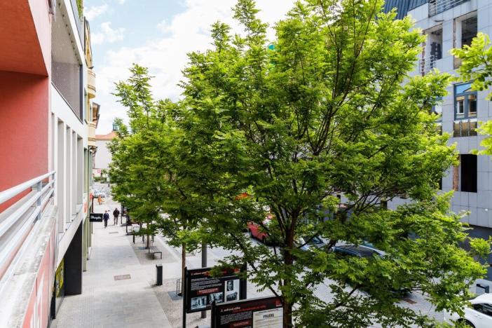 Prodej bytu 4+kk, Benešov, Tyršova, 134 m2