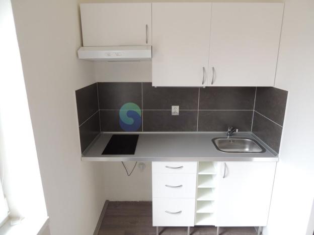 Pronájem bytu 1+kk, Ostrava - Mariánské Hory, Slavníkovců, 22 m2