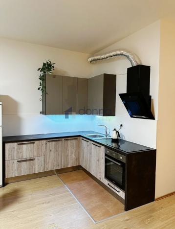 Pronájem bytu 1+kk, Praha, Březenská, 66 m2