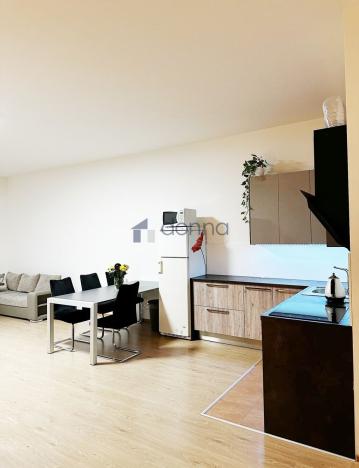 Pronájem bytu 1+kk, Praha, Březenská, 66 m2