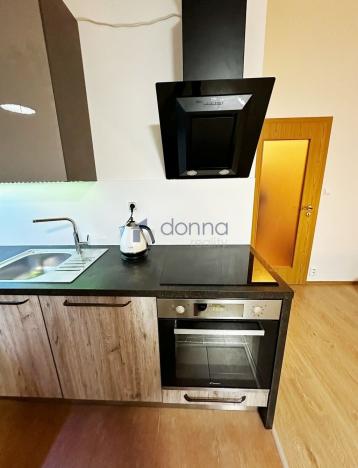 Pronájem bytu 1+kk, Praha, Březenská, 66 m2