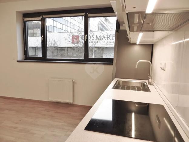 Pronájem bytu 2+kk, Praha - Holešovice, Dělnická, 64 m2