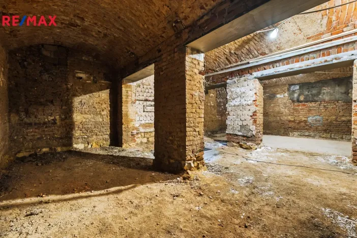 Pronájem obchodního prostoru, Praha - Žižkov, Seifertova, 100 m2