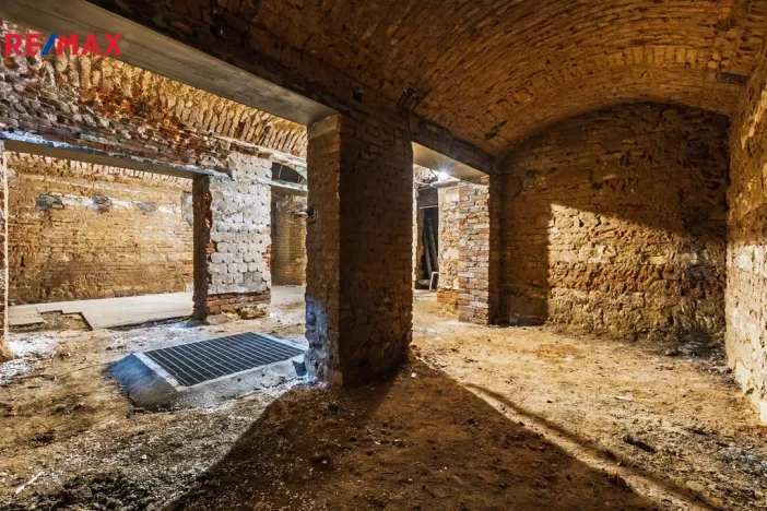 Pronájem obchodního prostoru, Praha - Žižkov, Seifertova, 100 m2