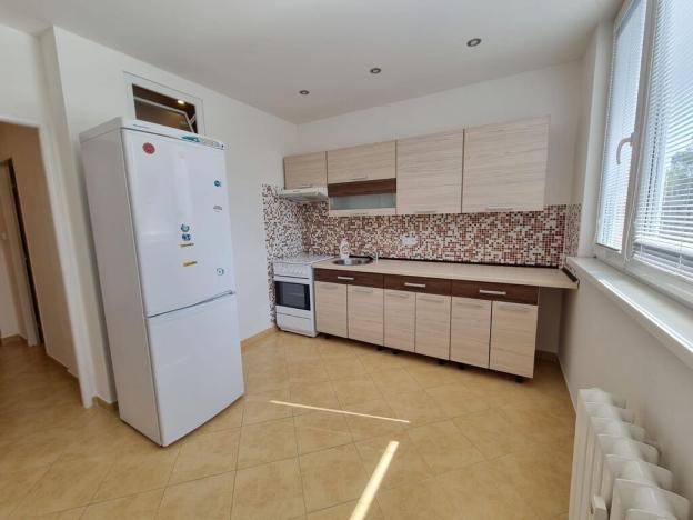 Pronájem bytu 1+1, Ostrava - Moravská Ostrava, Petra Křičky, 41 m2