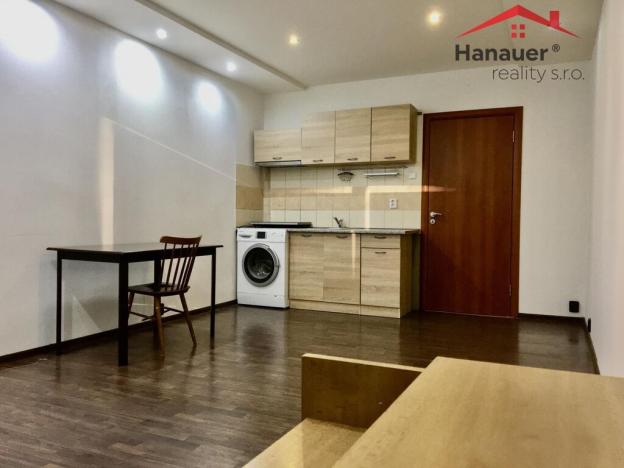 Pronájem bytu 1+kk, Ústí nad Labem - Krásné Březno, Rozcestí, 26 m2