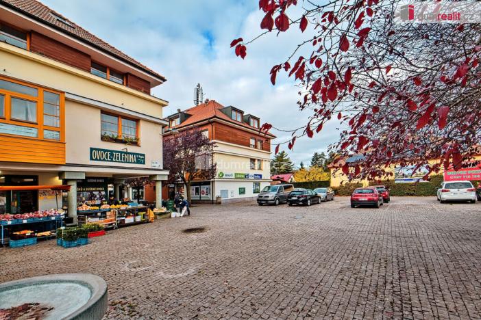 Prodej bytu 1+kk, Dobřichovice, Palackého, 20 m2