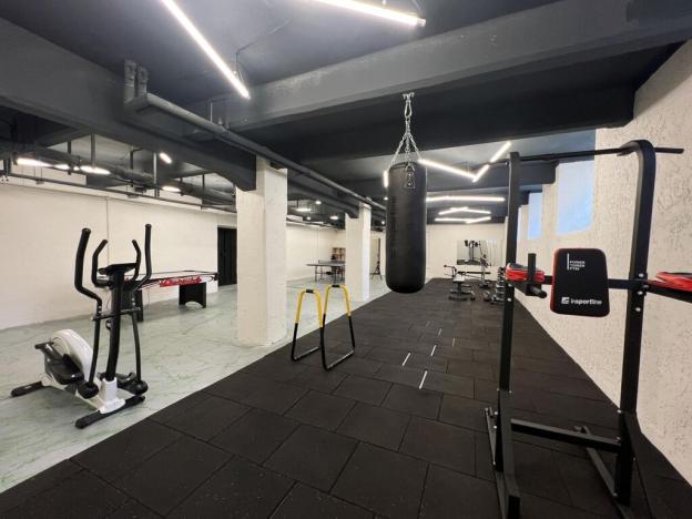 Pronájem bytu 1+kk, Praha - Libeň, Kotlaska, 22 m2