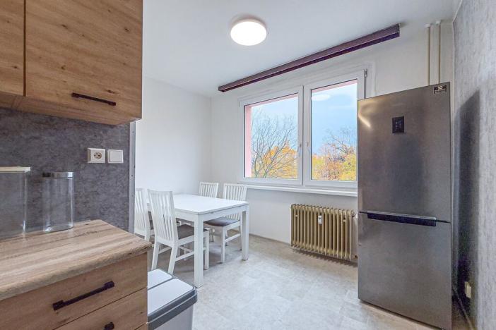 Pronájem bytu 1+1, Chomutov, Písečná, 42 m2