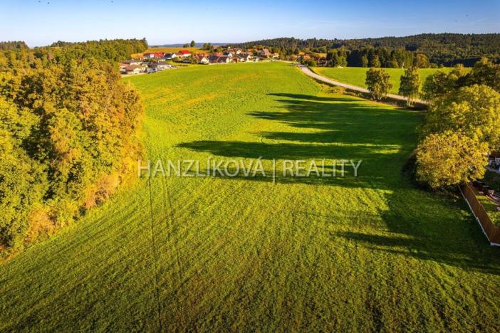 Prodej pozemku pro bydlení, Dubičné, 3914 m2