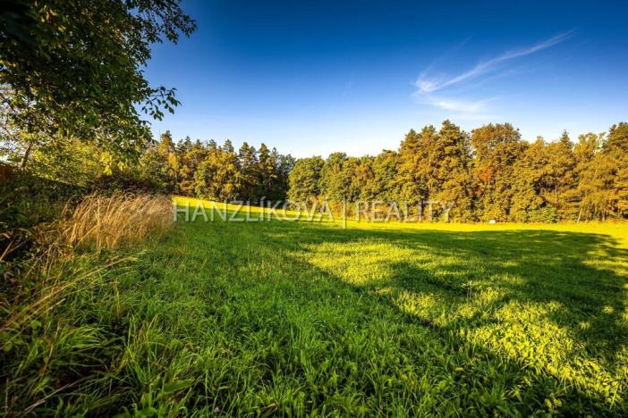 Prodej pozemku pro bydlení, Dubičné, 3914 m2