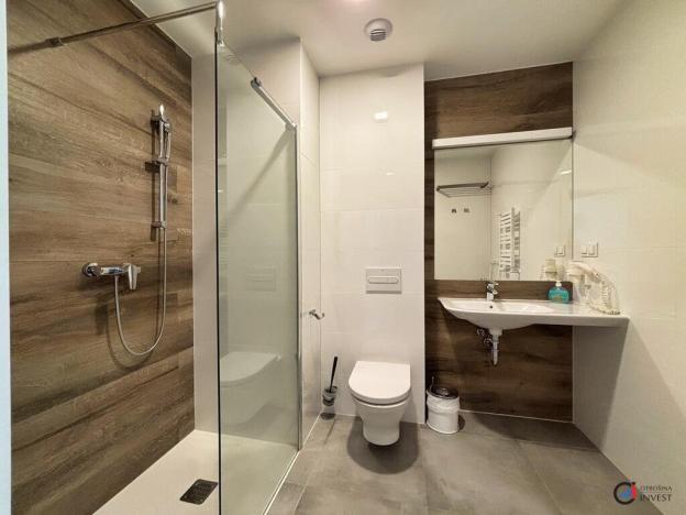 Prodej apartmánu, Dolní Morava, 36 m2