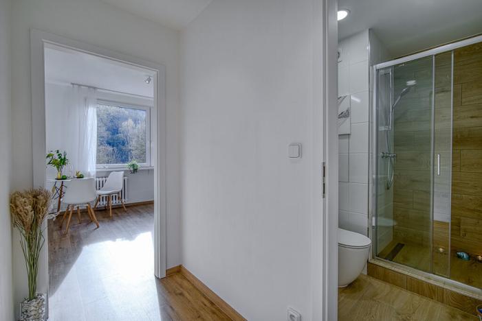 Pronájem bytu 1+1, Děčín - Děčín IX-Bynov, Gagarinova, 34 m2