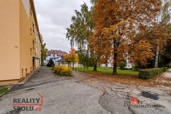 Prodej bytu 2+1, Milevsko, P. Bezruče, 58 m2