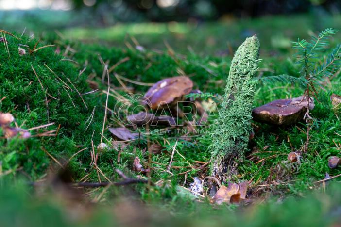 Prodej chaty, Hradištko, Kersko, 50 m2