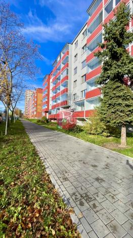 Pronájem bytu 1+kk, Ostrava, Sokolovská, 23 m2