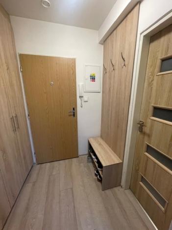 Pronájem bytu 1+kk, Zábřeh, Valová, 25 m2