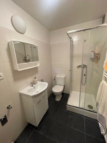 Pronájem bytu 1+kk, Zábřeh, Valová, 25 m2