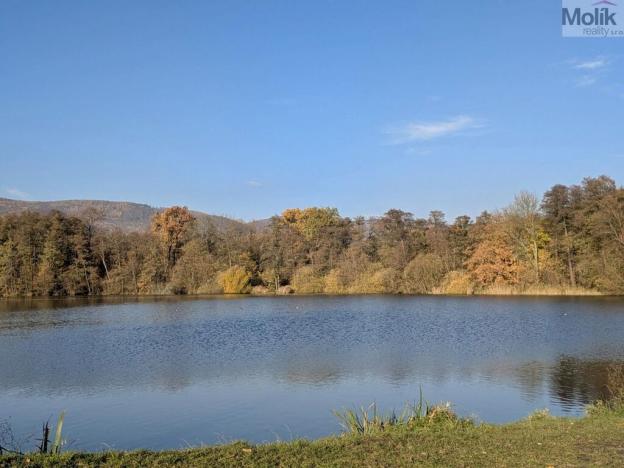 Prodej chaty, Chlumec, U zámeckého rybníka, 16 m2