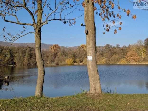 Prodej chaty, Chlumec, U zámeckého rybníka, 16 m2